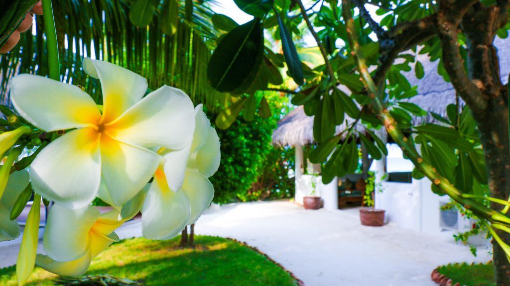 Vakarufalhi Maldives Dhangethi Buitenkant foto