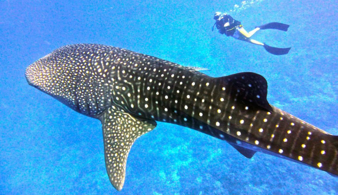 Vakarufalhi Maldives Dhangethi Buitenkant foto